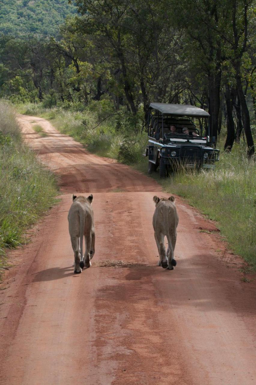 Inzalo Safari Lodge Riserva Naturale di Welgevonden Esterno foto