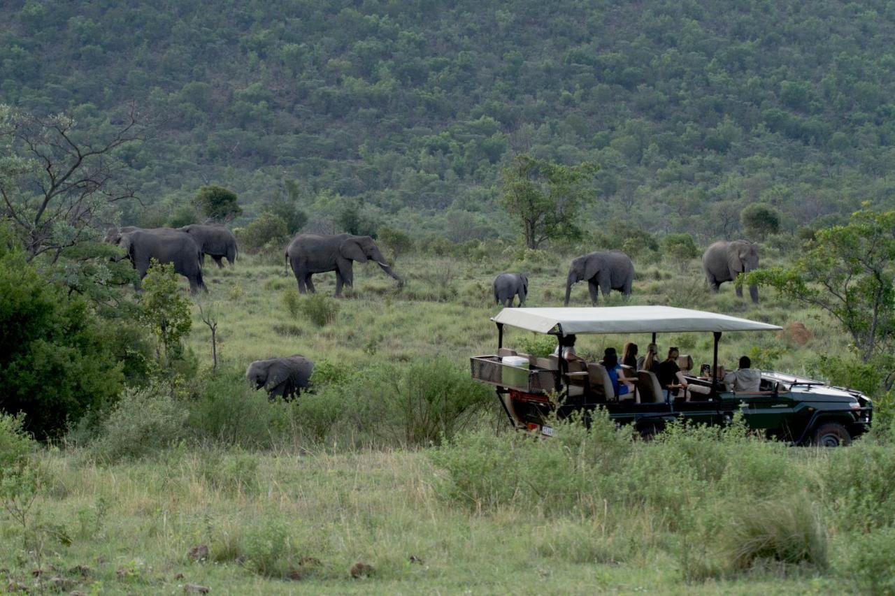 Inzalo Safari Lodge Riserva Naturale di Welgevonden Esterno foto