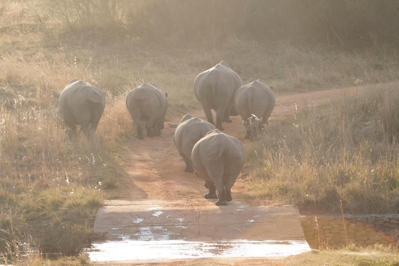 Inzalo Safari Lodge Riserva Naturale di Welgevonden Esterno foto